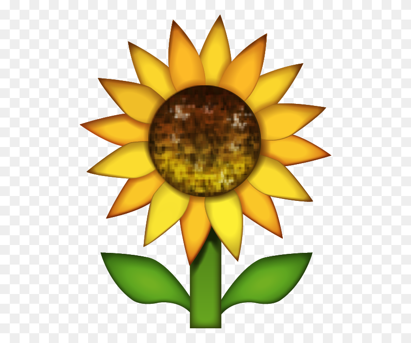 514x640 Download Sunflower Emoji Image In Png Emoji Island - Sunflower Emoji PNG