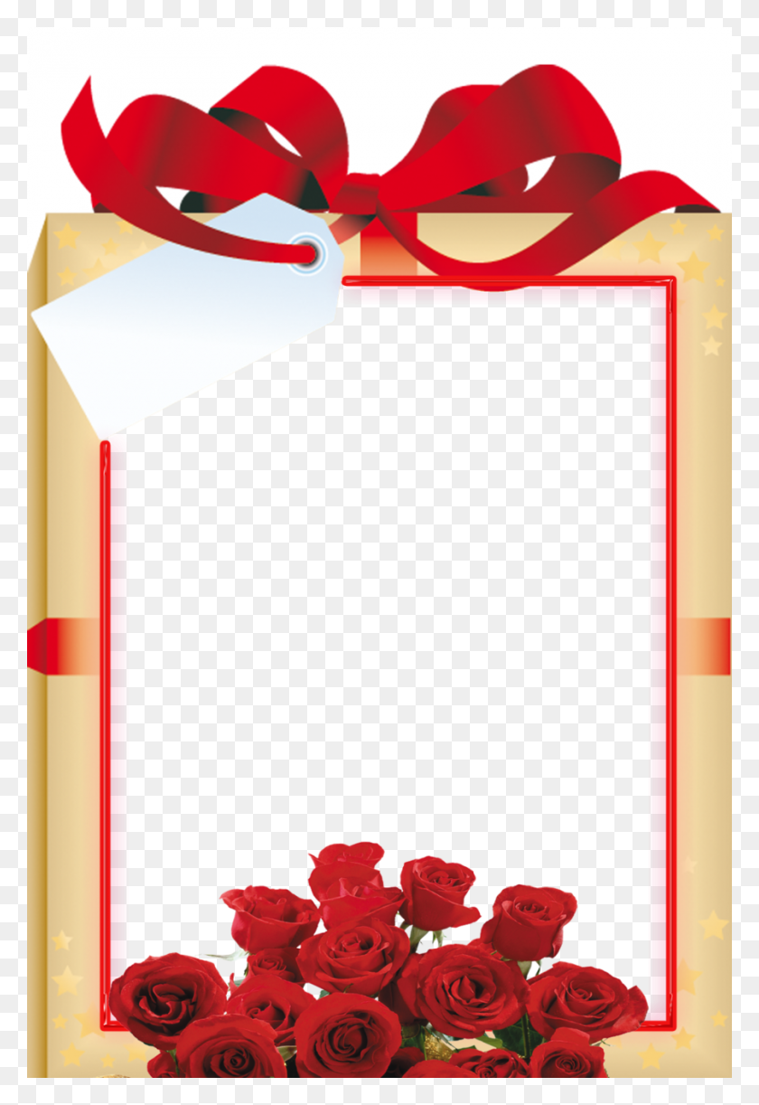 900x1341 Download Templetes Png Clipart Desktop Wallpaper Flower, Red - Rose Petal PNG