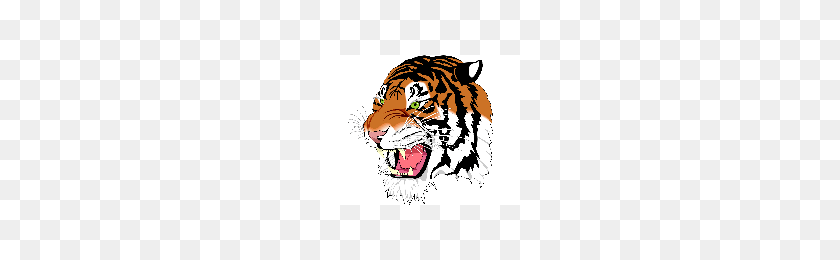 200x200 Download Tiger Free Png Photo Images And Clipart Freepngimg - Tiger PNG