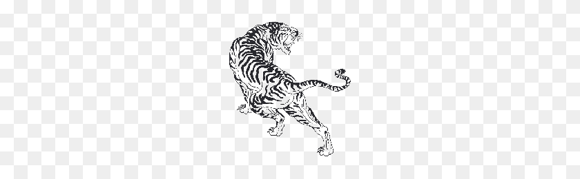 200x200 Скачать Тату Тигр Png Фото Изображения И Клипарт Freepngimg - Белый Тигр Png