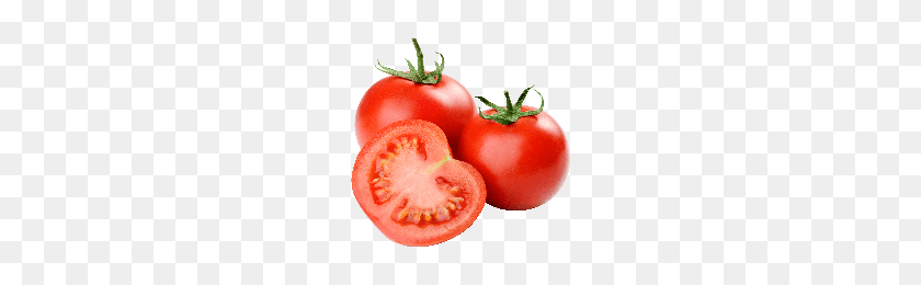 200x200 Download Tomato Free Png Photo Images And Clipart Freepngimg - Tomatoe PNG