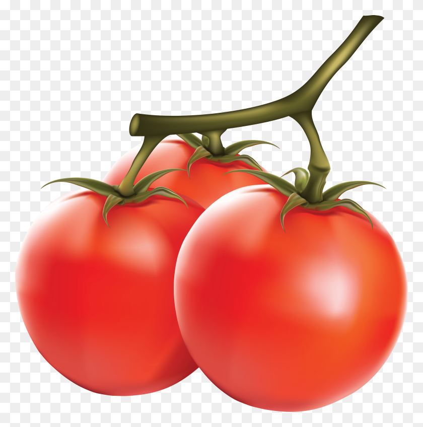 3553x3592 Download Tomato Free Png Transparent Image And Clipart - Tomatoe PNG