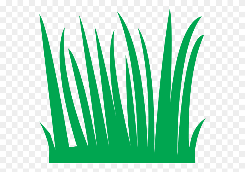 570x532 Скачать Traceable Grass Clipart Lawn Clip Art Graphics, Green - Lawn Clipart