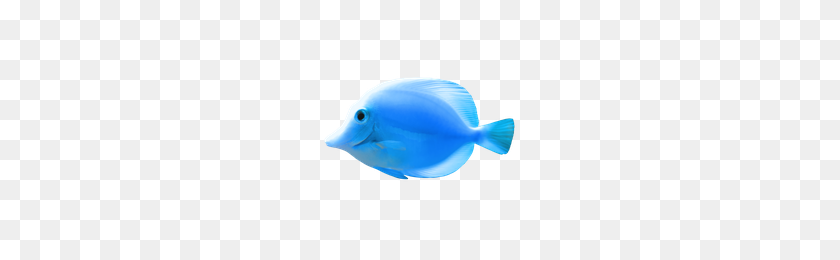 200x200 Download Tropical Fish Free Png Photo Images And Clipart Freepngimg - Tropical Fish PNG