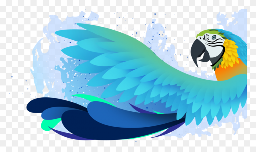 900x506 Download Tropical Parrot Png Clipart Macaw Parrot Tropics Parrot - Angel Wings Clipart Free