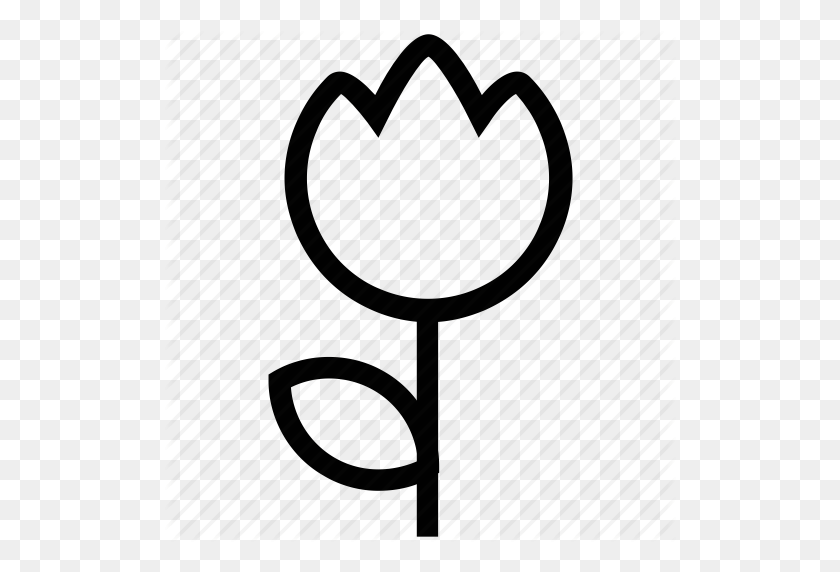 512x512 Descargar Tulip Contorno Icono Clipart Flor Tulip Clipart - Tulip Clipart Blanco Y Negro