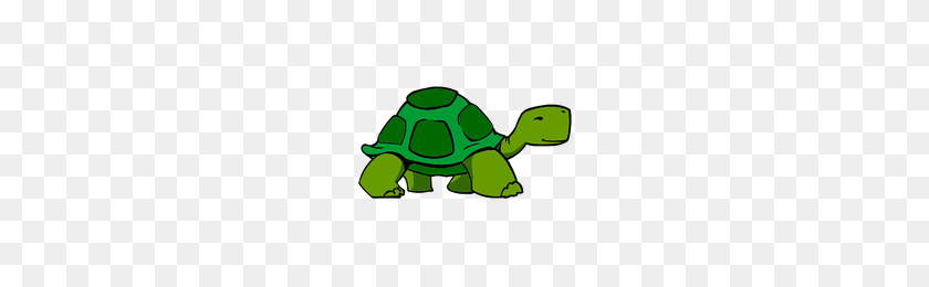 200x200 Download Turtle Category Png, Clipart And Icons Freepngclipart - Sea Turtle PNG