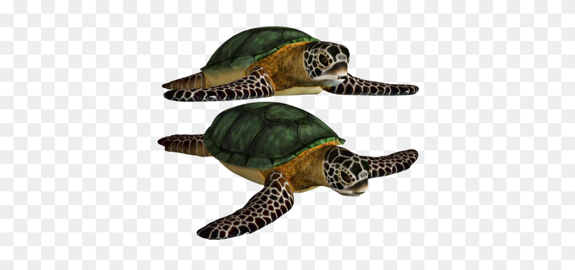 400x335 Download Turtle Free Png Transparent Image And Clipart - Sea Turtle PNG