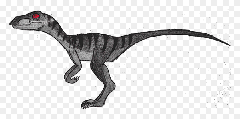900x412 Download Velociraptor Drawing Clipart Velociraptor Drawing Clip - Salamander Clipart