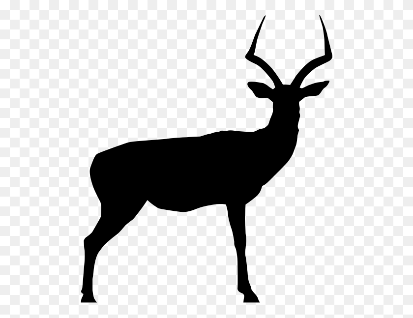 512x587 Download Wildlife Clipart Elk Bowhunting Deer Clipart Free Download - Reindeer Black And White Clipart