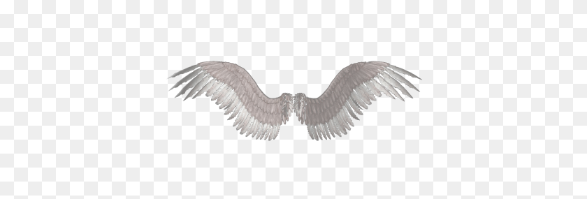 400x225 Download Wings Tattoos Free Png Transparent Image And Clipart - Gold Wings PNG