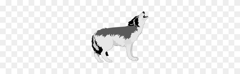 200x200 Descargar Lobo Png