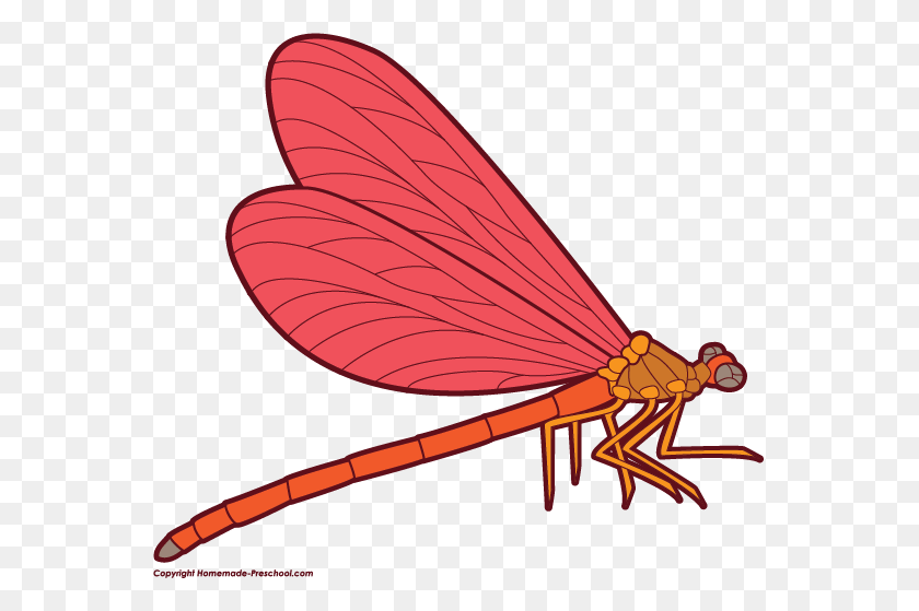 559x499 Dragon Fly Clipart, Explore Pictures - Flying Baseball Clipart