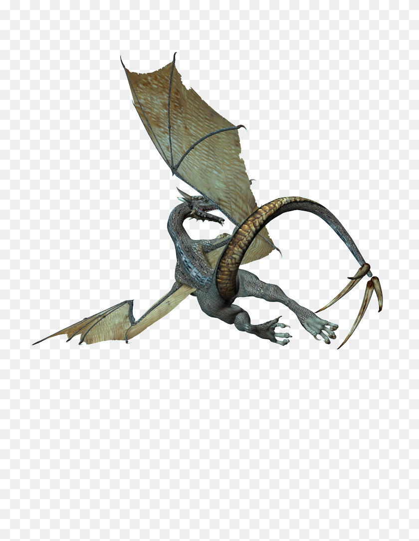 768x1024 Dragon Png Images, Free Download - Dragon PNG