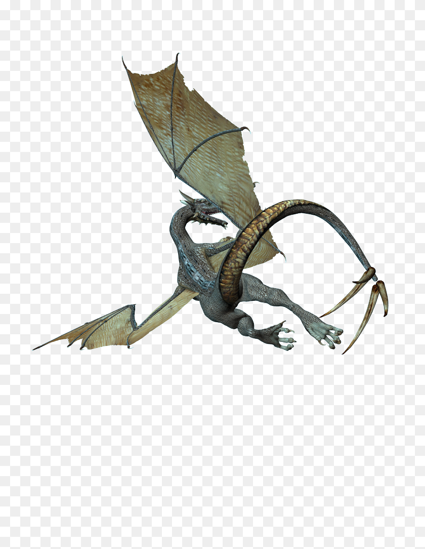 768x1024 Dragón Png, Descarga Gratuita - Dragón Png