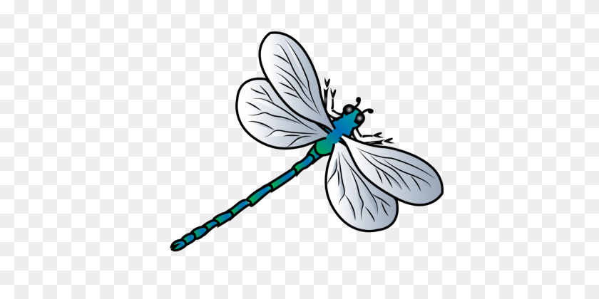 426x360 Dragonfly - Dragonfly PNG