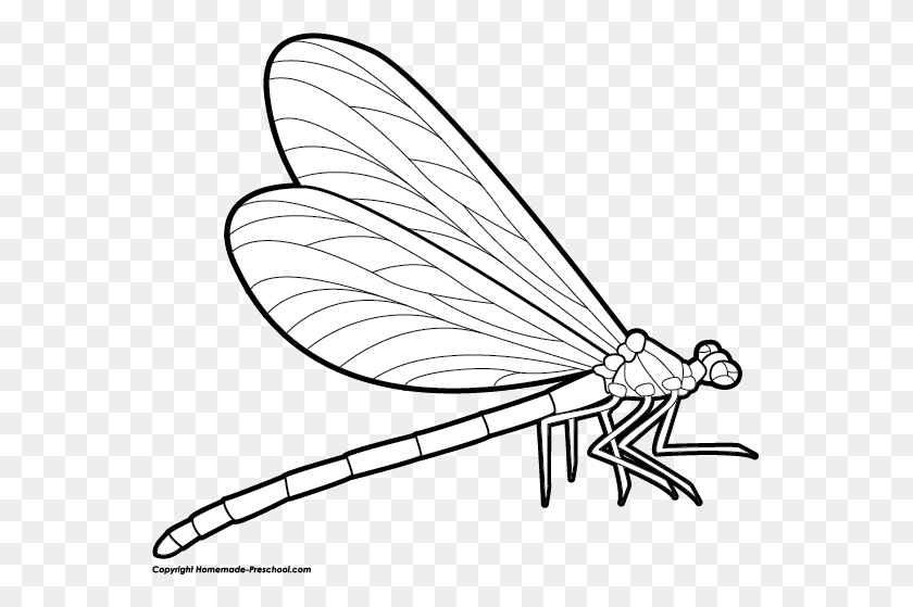 559x499 Dragonfly Clip Art In Black And White Clip Art - Dragonfly Clipart
