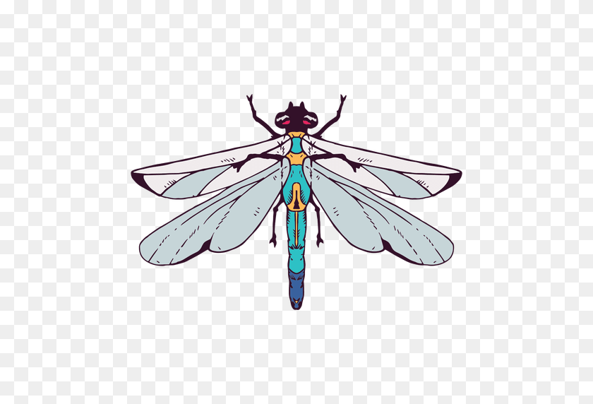 512x512 Dragonfly Illustration - Dragonfly PNG