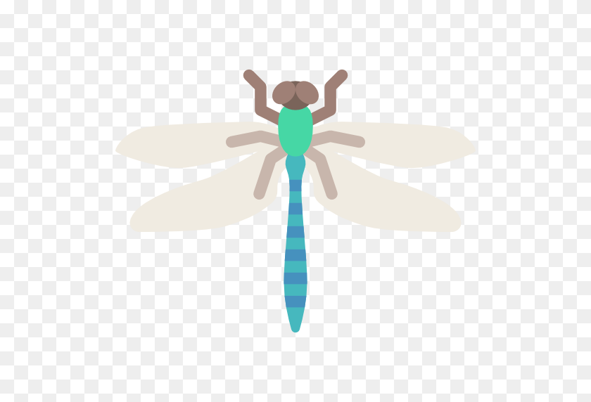 512x512 Dragonfly Png - Dragonfly PNG