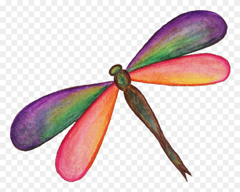 1094x860 Dragonfly Png Hd - Dragonfly PNG