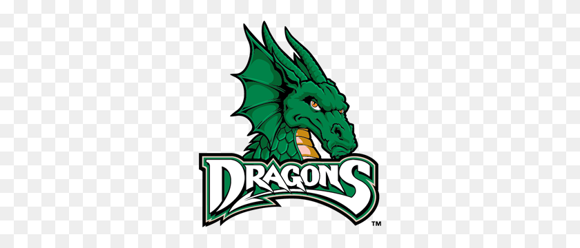 264x300 Dragons Logo - Dragon Logo PNG