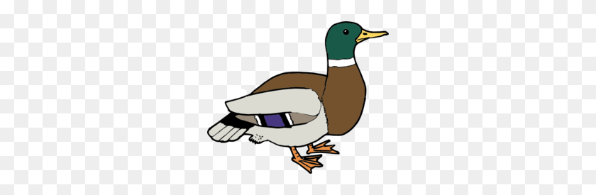 256x215 Drake Clipart - Duckling Clipart