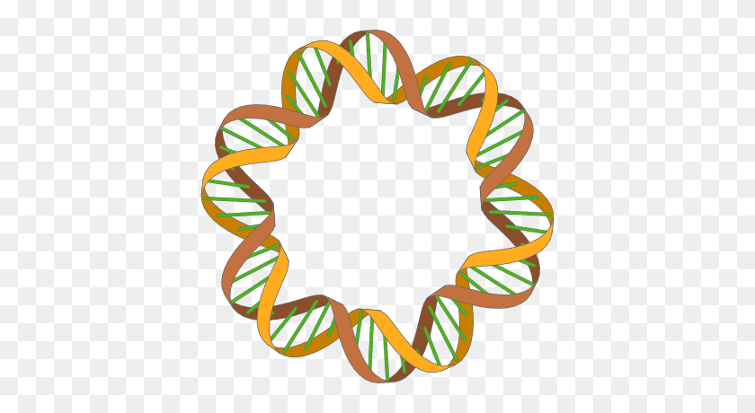400x400 Drawing A Double Helix In Inkscape - Double Helix PNG