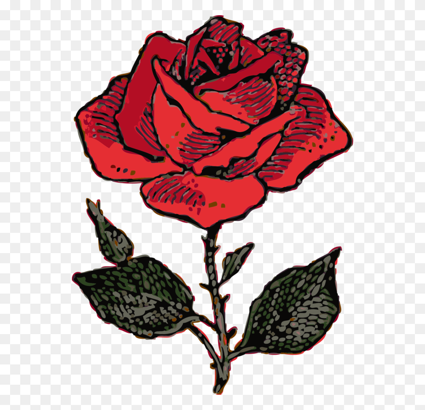 556x750 Рисунок Черной Розы Скачать Компьютерные Иконки Бесплатно Дамасская Роза - Куст Роз Клипарт