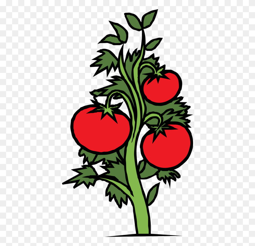 432x750 Dibujo De Tomate Cherry De La Planta De La Hoja - Tomate Png