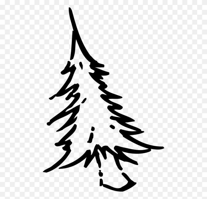 494x749 Drawing Christmas Tree Coloring Book Christmas Day - Tree Line PNG