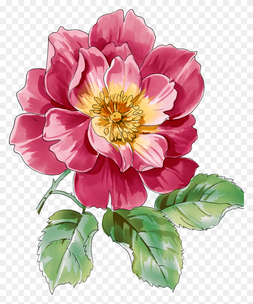1703x2069 Drawing Flowers In Flowers, Flower - Peony PNG