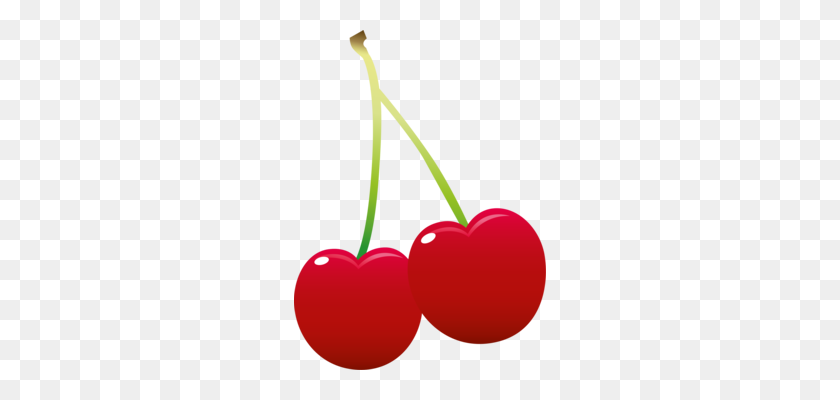 252x340 Drawing Fruit Cherry Download Line Art - Cherry Clipart PNG