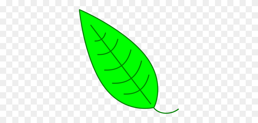 326x340 Drawing Green Leaf Line Art Computer Icons - Photosynthesis Clipart