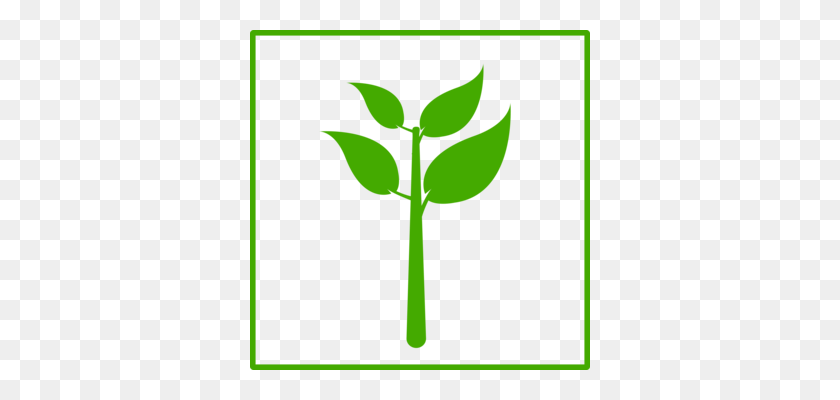 340x340 Drawing Green Leaf Line Art Computer Icons - Plant Life Cycle Clipart