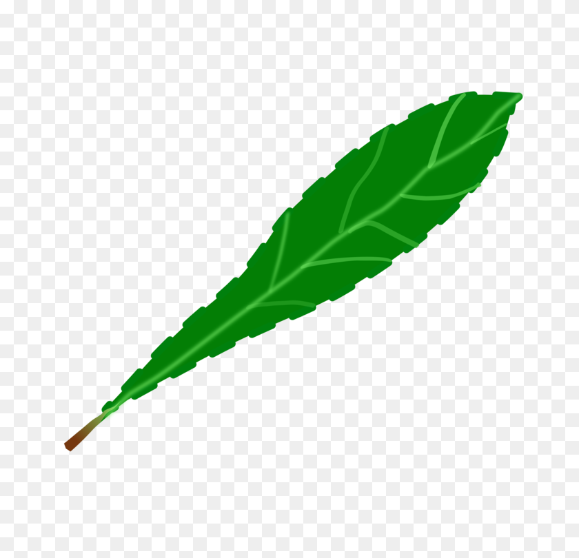 750x750 Drawing Leaf Computer Icons Green Watercolor Painting Free - Watercolor Leaf PNG