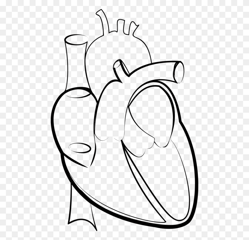 498x749 Drawing Line Art Heart Hartlijn - Hospital Clipart Black And White