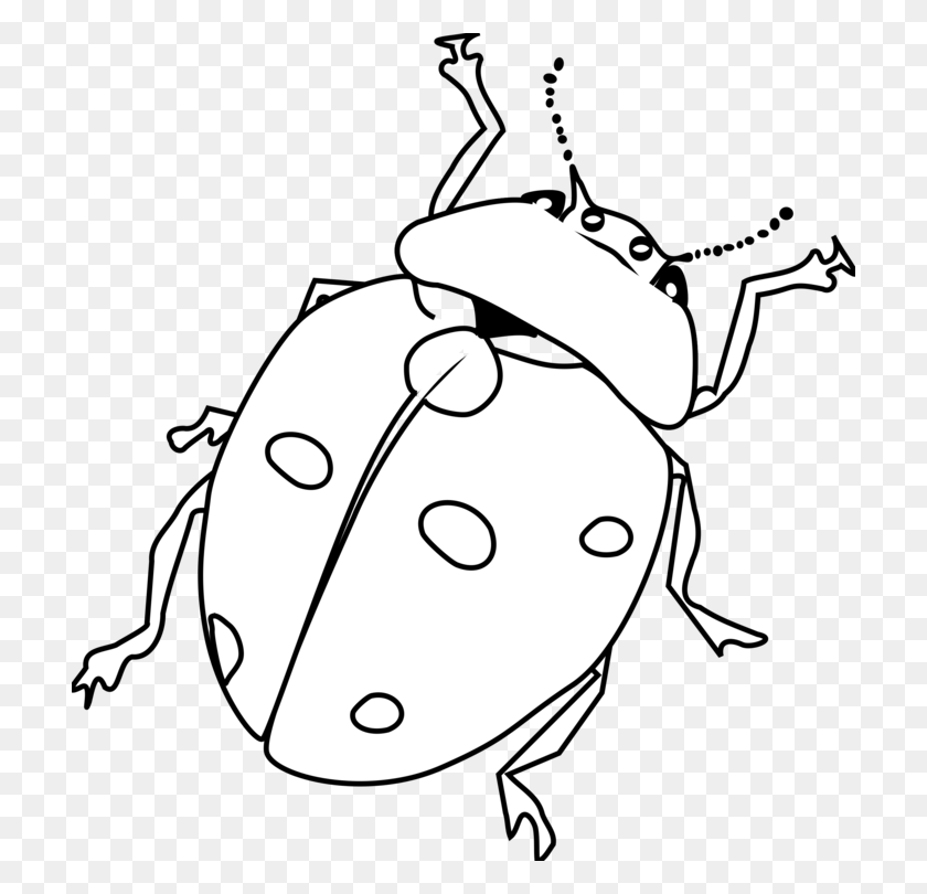710x750 Drawing Line Art Ladybird Beetle Black And White - Toucan Clipart Black And White