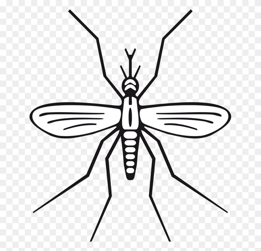 649x750 Drawing Marsh Mosquitoes Computer Icons Download Fly Free - Marsh Clipart
