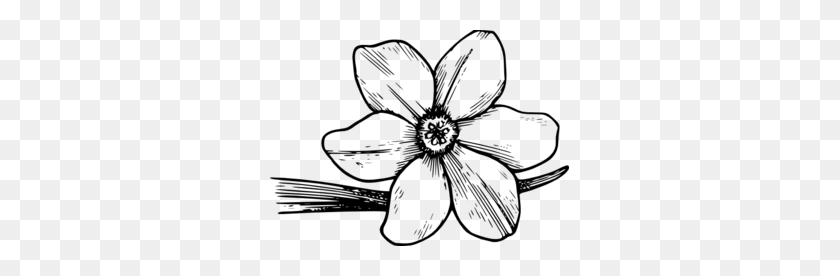 299x216 Drawing Of A Corolla Clip Art - Dogwood Flower Clipart