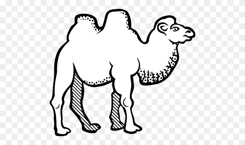 500x438 Drawing Of Camel With Spotty Throat Line Art - Camel Clipart