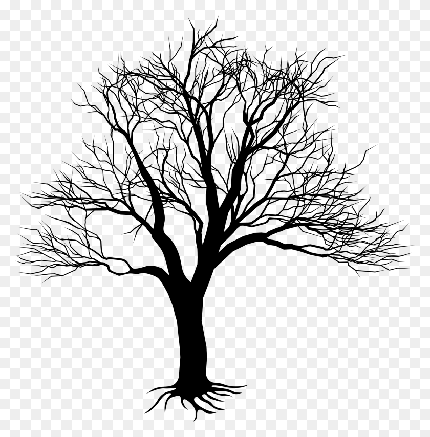2357x2400 Рисунок Дерева На Стене - Плакучая Ива Клипарт