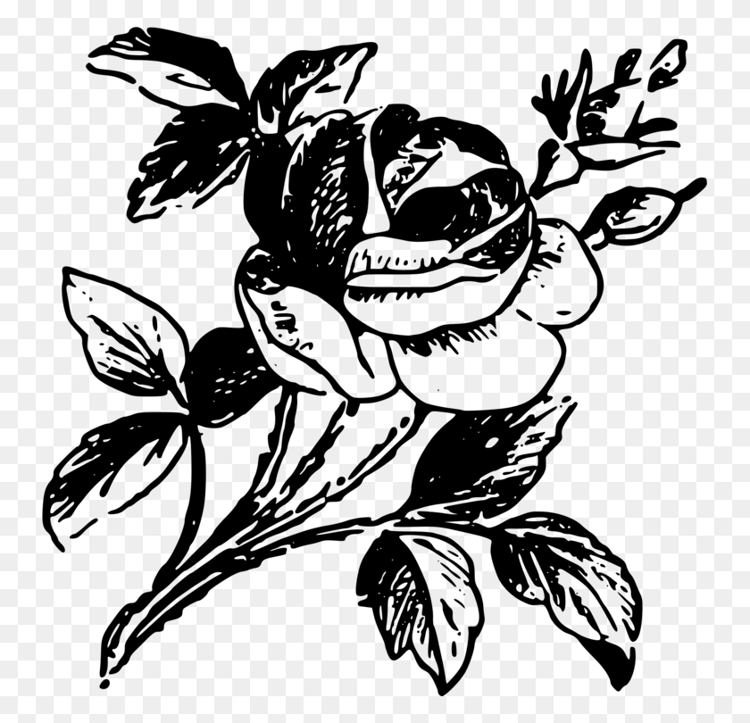 745x750 Drawing Rose Black And White Stencil - Rose Clipart Black And White PNG
