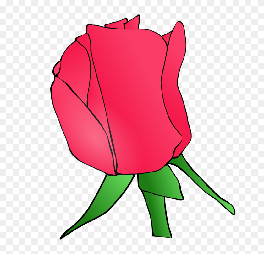 750x750 Drawing Rose Document - Rose Flower Clipart