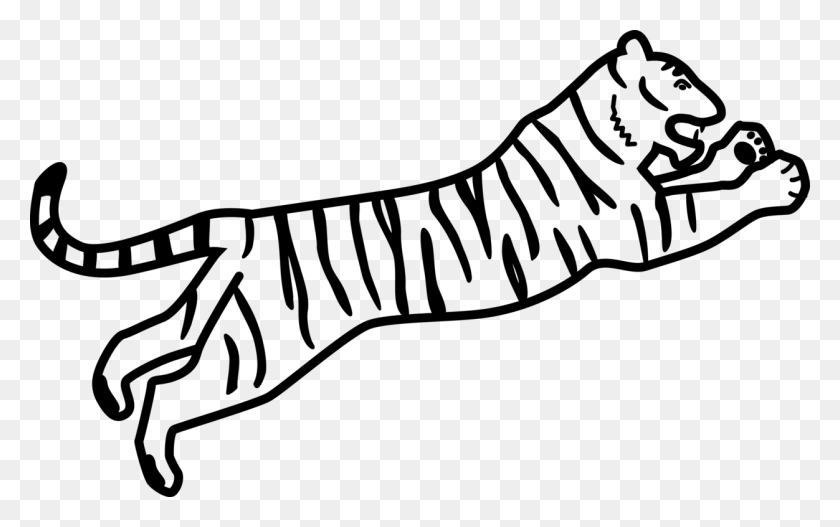 1252x750 Dibujo De Tigre Blanco, Tigre Siberiano, Tigre De Bengala Libro Para Colorear Gratis - Tigre Blanco Png