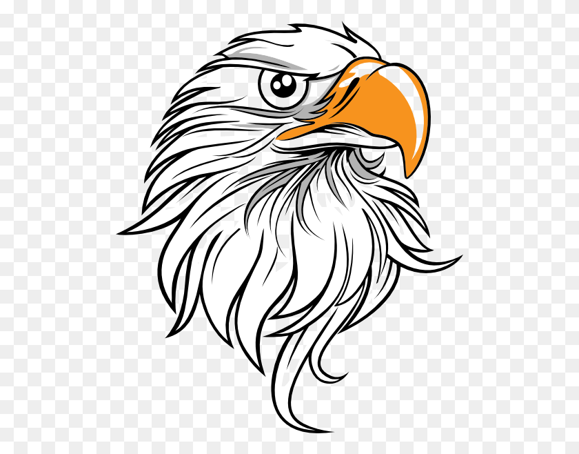 504x598 Drawn Bald Eagle Large Eagle - Bald Eagle PNG