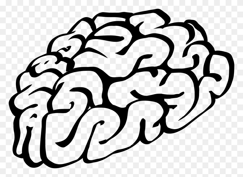 2400x1694 Drawn Brains Outline - Neuroscience Clipart