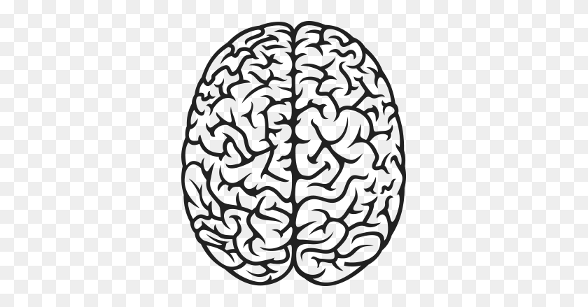 321x379 Top Drawn Brains Top - Мозг Клипарт Изображения