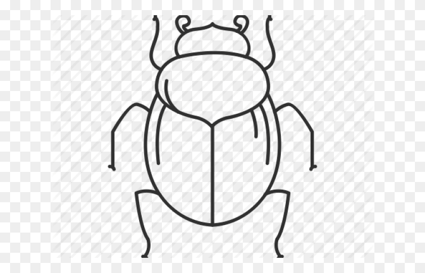 640x480 Drawn Bugs Dung Beetle - Scarab Beetle Clipart