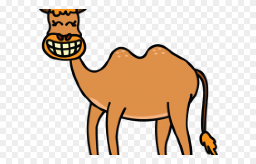 640x480 Camellos Dibujados Fácil - Nomad Clipart