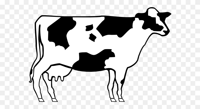 600x397 Drawn Cattle Simple - Angus Cow Clipart